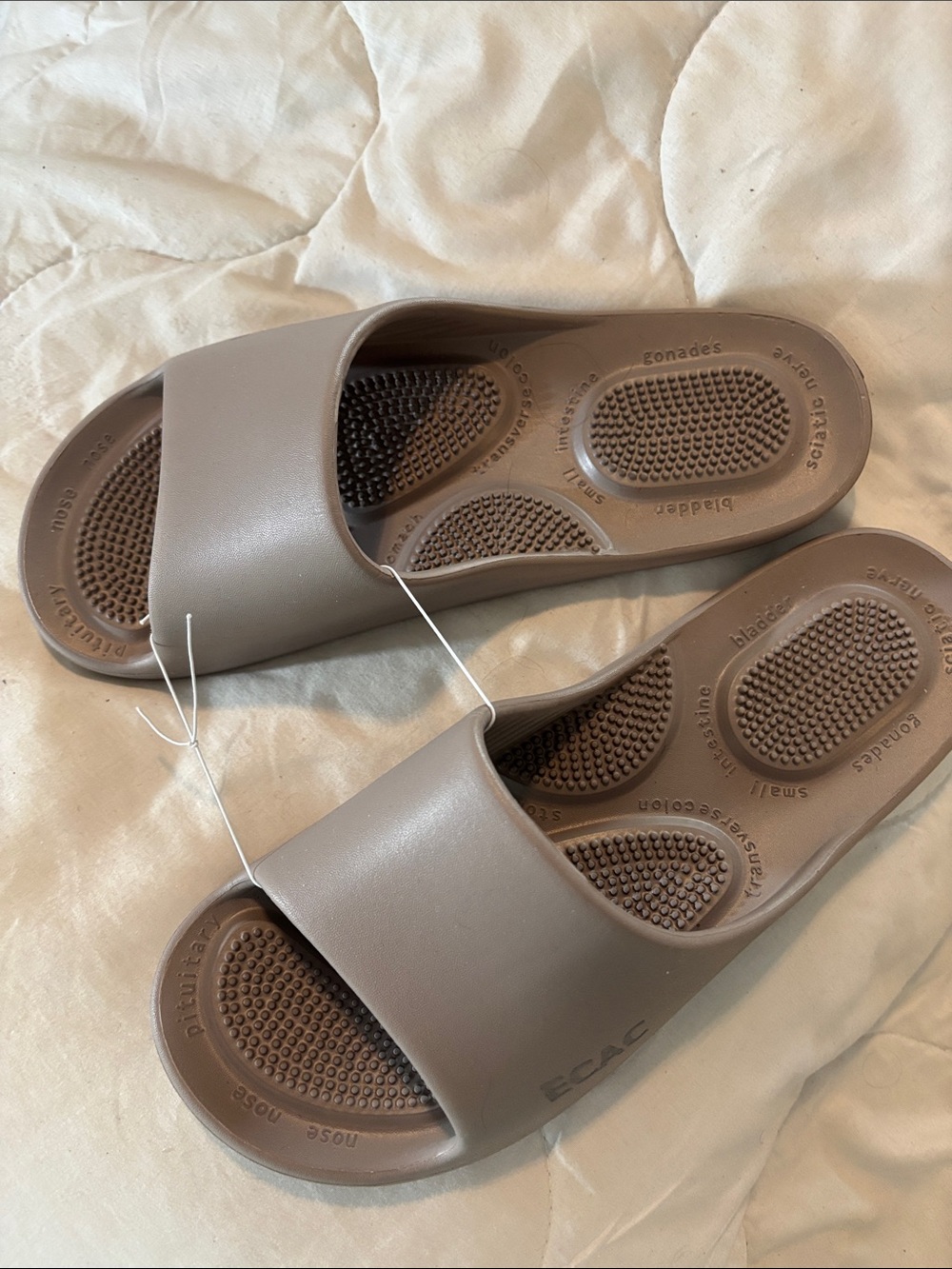 Neutral Taupe Slide Sandals